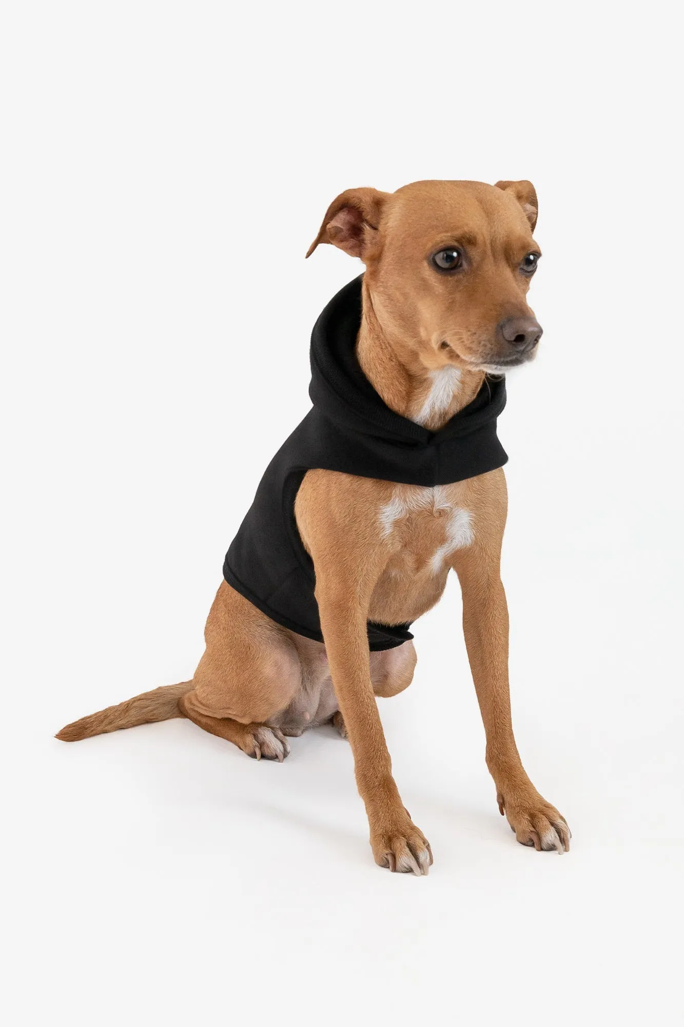 HF-DOGHOOD - Heavy Fleece Dog Sweater