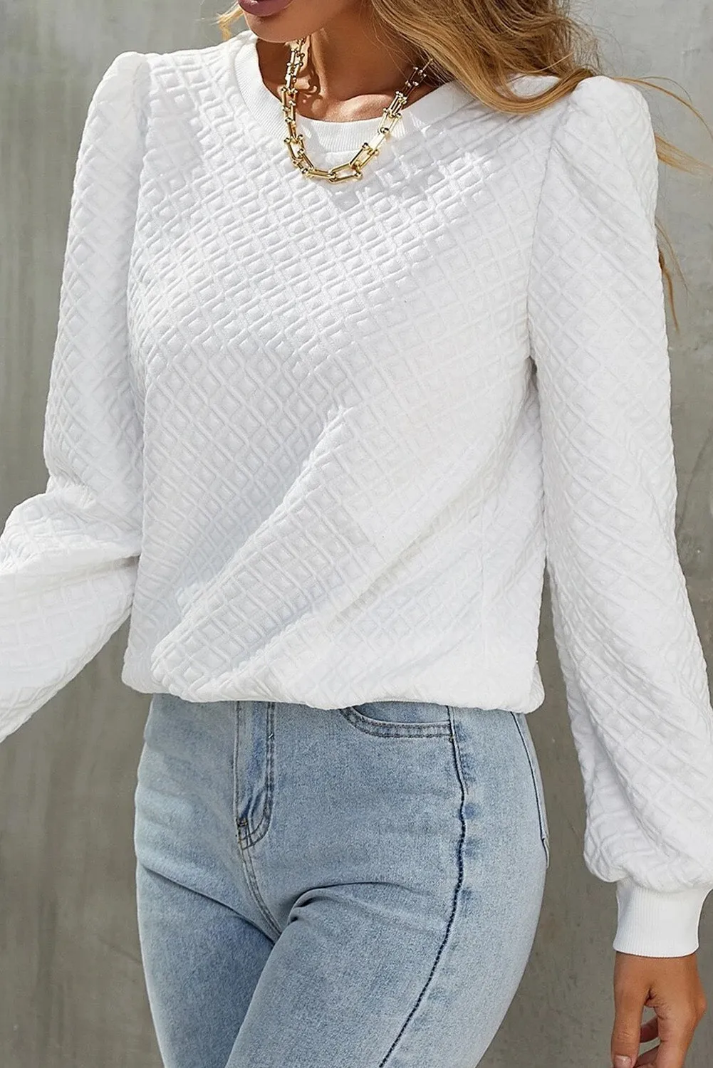 Texture Puff Long Sleeve Top