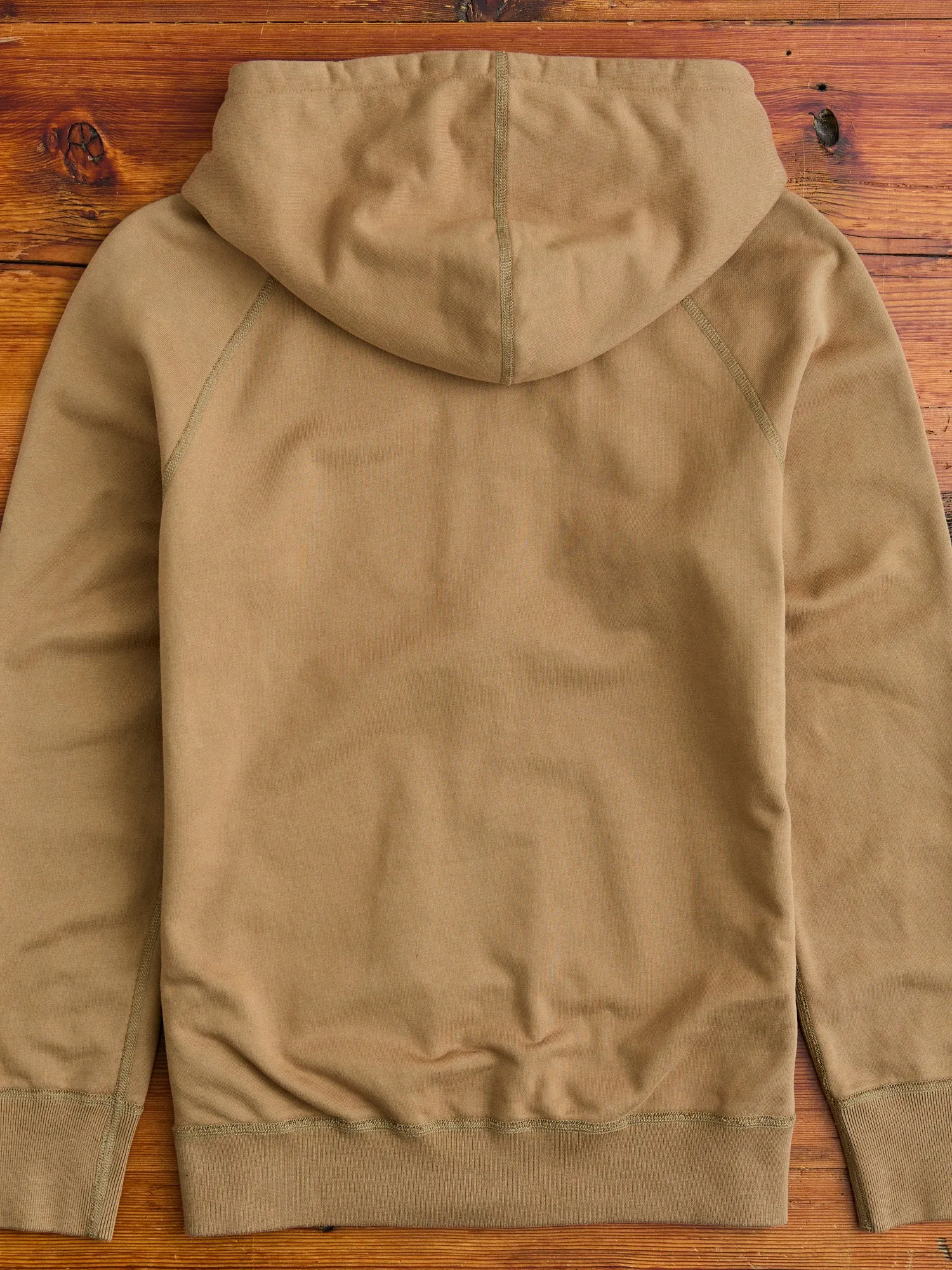 Zip Hoodie in Clay